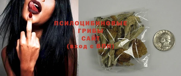 индика Наволоки