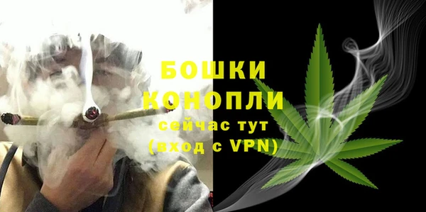 PSILOCYBIN Навашино
