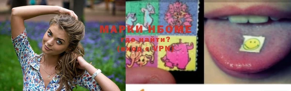 амф Надым