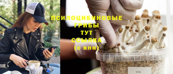 PSILOCYBIN Навашино