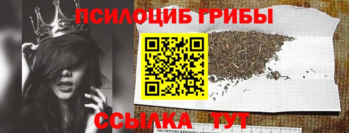 Псилоцибиновые грибы Magic Shrooms  Псилоцибиновые грибы прущие грибы  Вход с VPN  Волгоград 