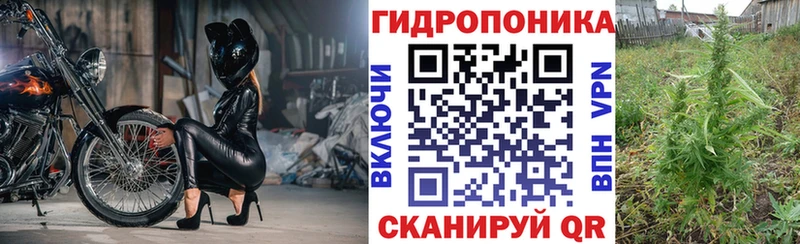 МЕГА сайт Волгоград Конопля AK-47
