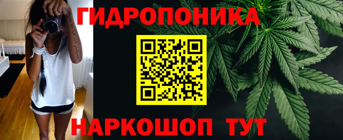 Волгоград  Шишки марихуана сатива  Вход с VPN  Марихуана Amnesia  Каннабис SATIVA & INDICA  МАРИХУАНА SATIVA & INDICA 